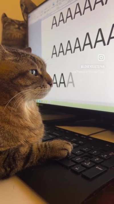 aaaaaa