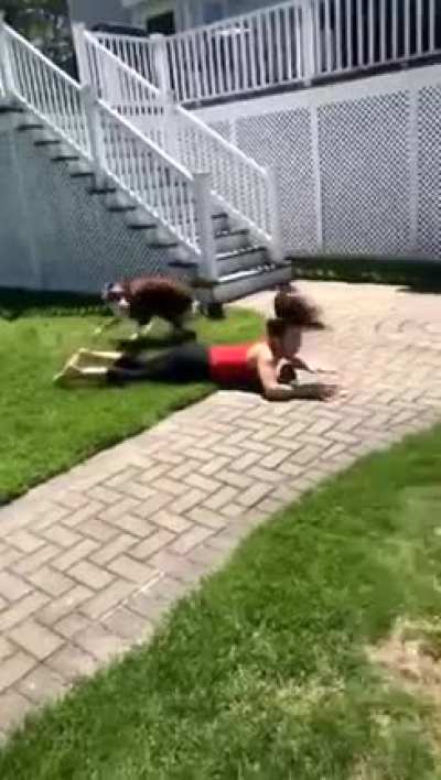 Missile of Absolute Fur Sweeps the Legs