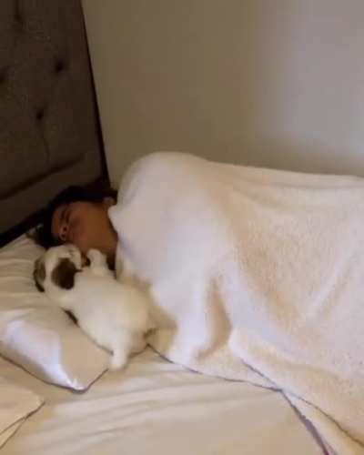 This is how I want to be woken up