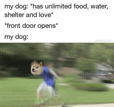 farewell human