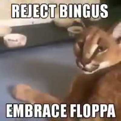 Bingus