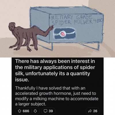 Ahh spiders george