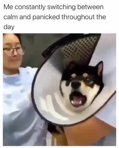 Just like some of us through the day