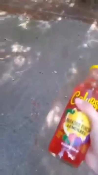 calypso