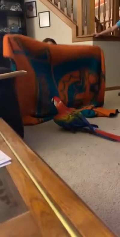 peekaboo AÀAÂAÄAÃAÅAĀAÁA
