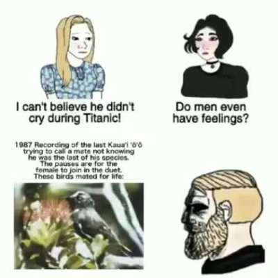 Sad moment bros