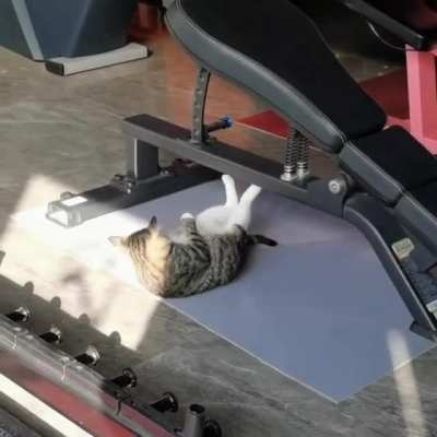 No Pain, No Gain