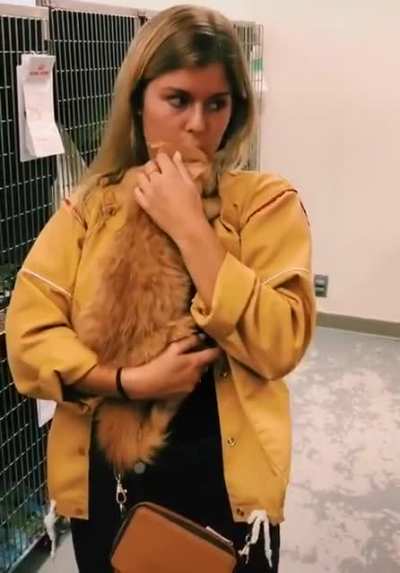 Another owner gets adopted