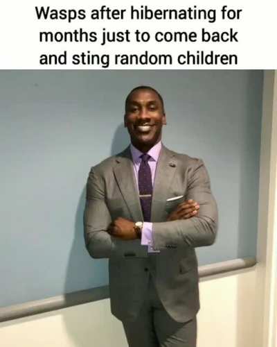 D tier insect