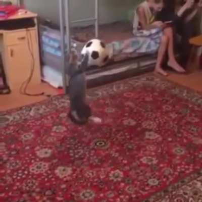 A soccer club needs to give this guy a contract