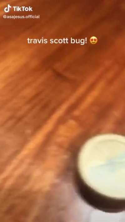 Travis Scott Bug is Chillin