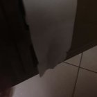 Both stalls share one roll of toilet paper...
