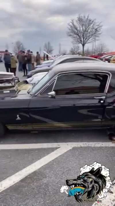 Pro Street '68 Shelby GT500