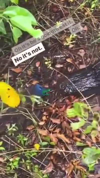 Fuck your phone