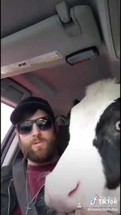 Grabbing a pup cup for a non-traditional pup