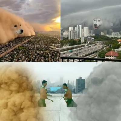 Dog Storm Reboot template (OC)
