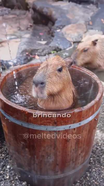 Eu_nvr