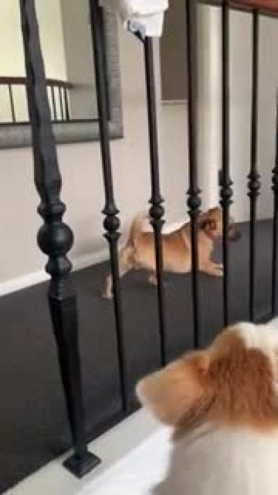 Тролль
