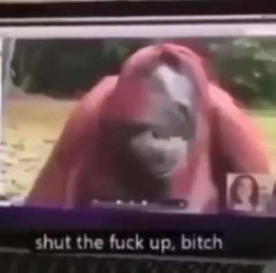 Monke