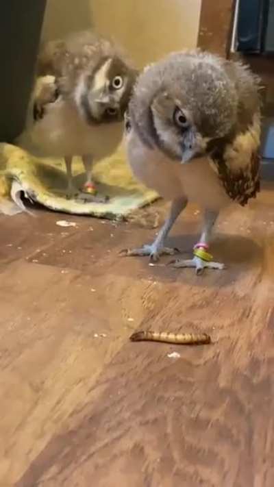 What that brother