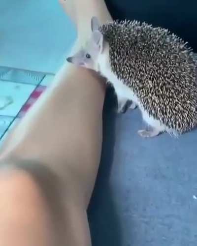Mmm...FUCK YOUUUUUU