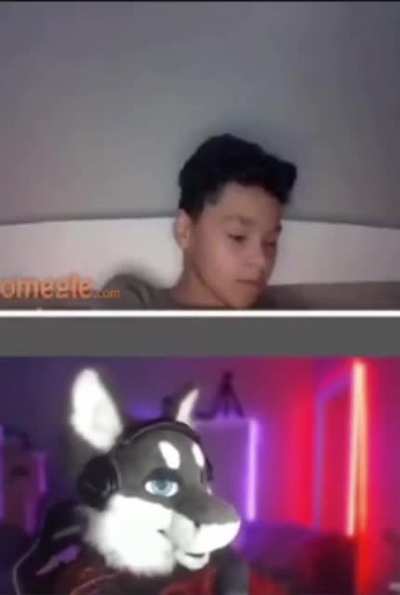 Furry Jumpscare