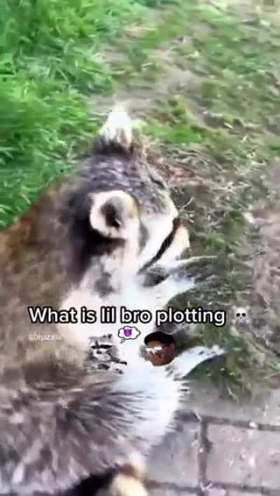 Plotting wunk