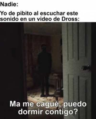 pinche perro miedo la verdad hasta de día me cago
