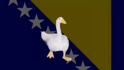 Bosna #1