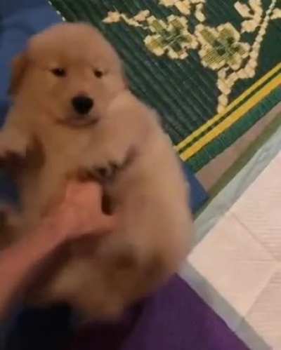pubby