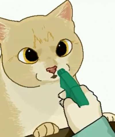 Cats