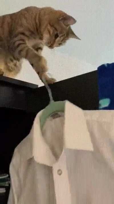 let me help you with that nice clean shirt you just hung up...
