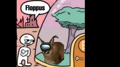 Floppus
