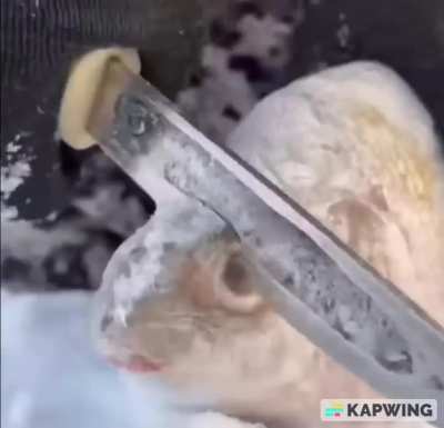 no context allowed