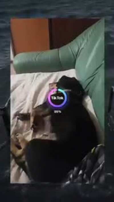 What the dog doin?.