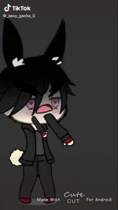 W-What the hell am I watching?!