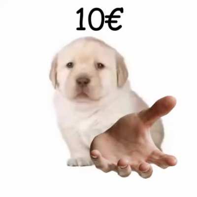 gib