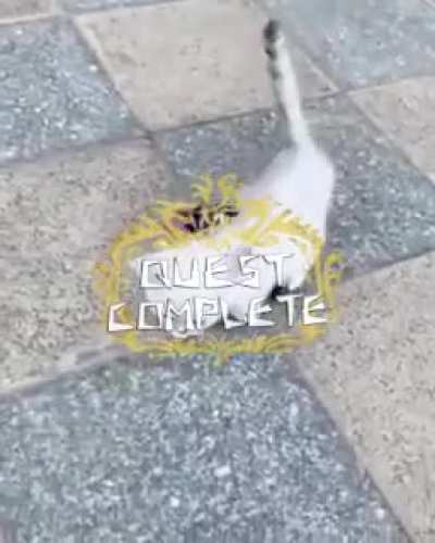 New Tutorial - How to mount a Kitty