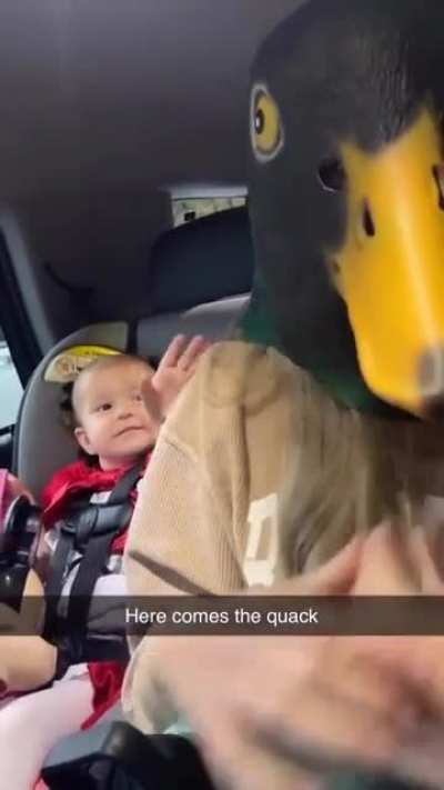 Ducking Terrified