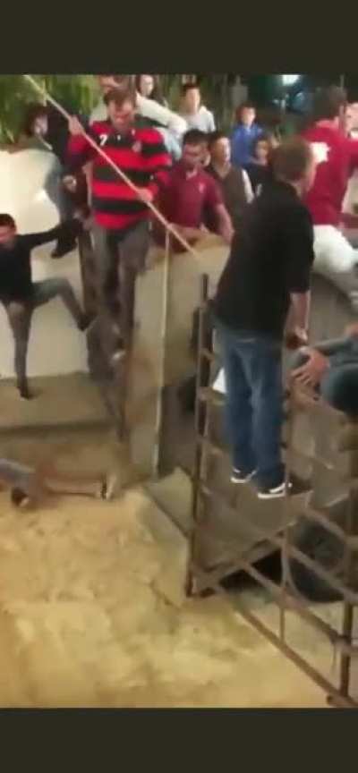 Freddy krueger a bull and an idiot