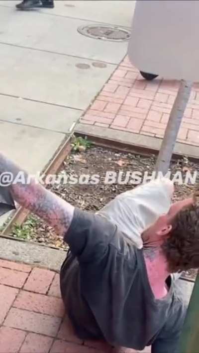 Bushman vs hobo