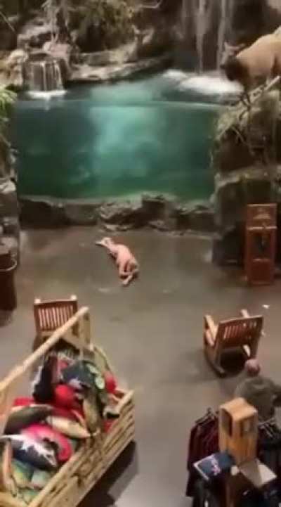 Alabama Man strips naked, jumps into Bass Pro Shops aquarium
