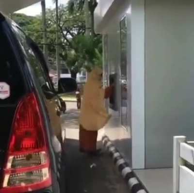 The way the wind blow