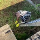 Wait for me! I will help you work.