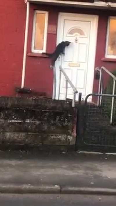“Excuse me, I think you’ve forgot me outside”