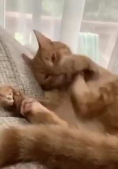 He cleans the foot, he does.