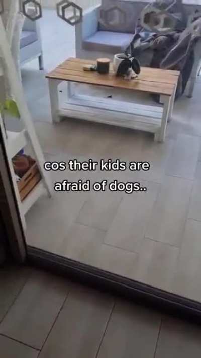 tie your dog.