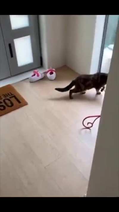 Short but sweet