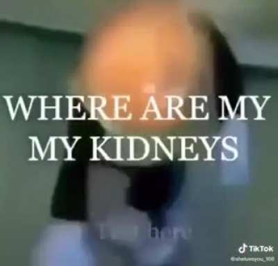 Enter Text Here