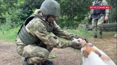 Ru pov: Artillerymen sheltered dogs in the Avdeevka direction, and the animals in response help and warn the fighters about uninvited guests: âThese are our calls. We feed, we care. Someone is coming - they notify, you will find out in advance, â a Ru